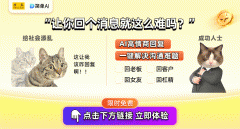感激AI教我高情